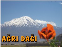 /album/a%c4%9fri-da%c4%9finin-en-guzel-resimleri/agri-dagi456464-jpg/