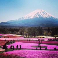 /album/a%c4%9fri-da%c4%9finin-en-guzel-resimleri/agri-dagin-eteginde-439865-jpg/