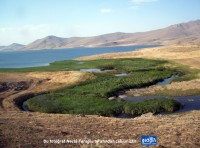 /album/a%c4%9fri-da%c4%9finin-en-guzel-resimleri/balik-golu-agri-jpg/