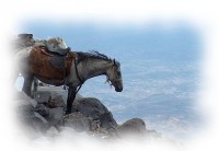 /album/a%c4%9fri-da%c4%9finin-en-guzel-resimleri/buyuk-agri-i-logo-1-jpg/